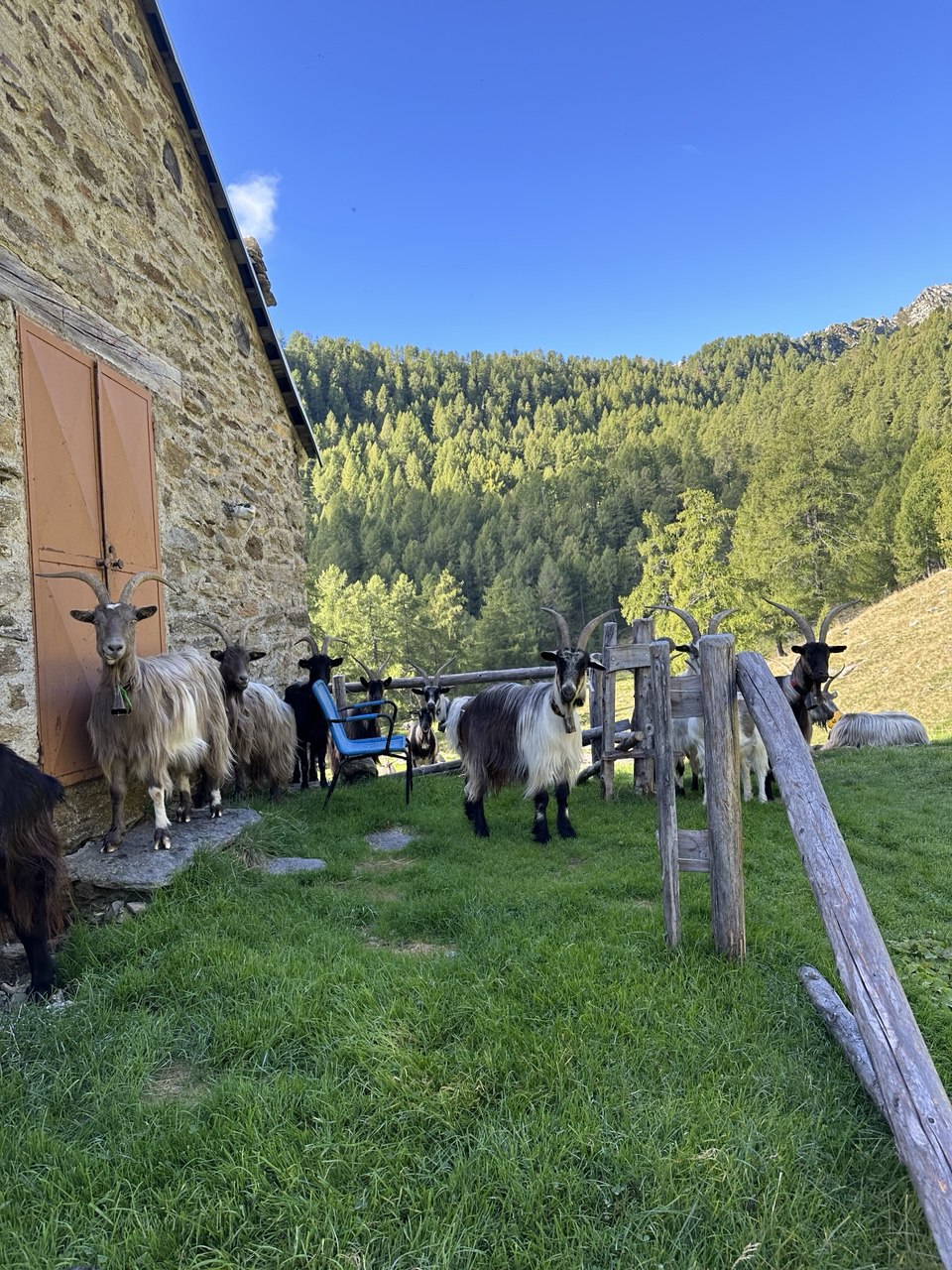 Weekend in alpeggio