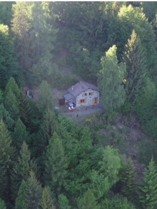 Notte in Baita immersi nel bosco