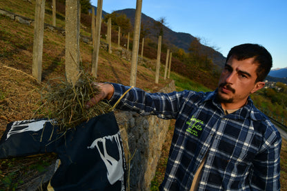 Cuscino di Fieno Alpino – Un Pezzo di Montagna per la Tua Casa