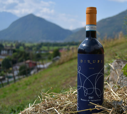 Dirupi Olè Rosso di Valtellina