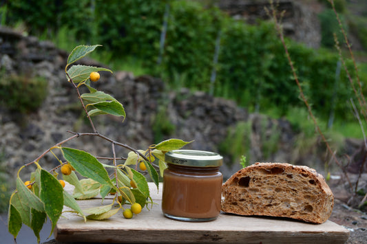 Crema di Marroni