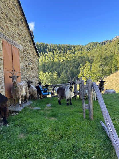 Weekend in alpeggio
